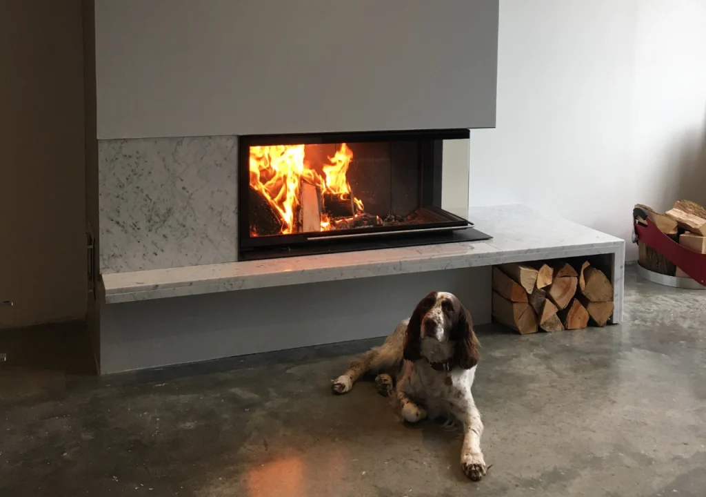 En hund med brun och vit päls ligger på ett polerat betonggolv framför en modern öppen spis med en brinnande brasa. Det finns en trave ved bredvid den öppna spisen.