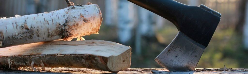 En närbild av en yxa som är inbäddad i en stock bredvid kluvna bitar av björkträ, med en mjuk, naturlig utomhusbakgrund suddig bakom.